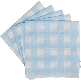 Салфетки хозяйственные Paclan Soft Сlean вискоза 35x35 см 50 г/кв.м (5 штук в упаковке)