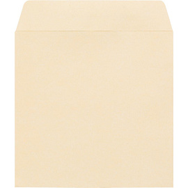 Конверт цветной для CD Packpost 125x125 мм 90 г/кв.м ассорти декстрин (50 штук в упаковке)