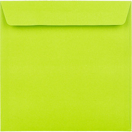 Конверт цветной для CD Packpost 125x125 мм 90 г/кв.м ассорти декстрин (50 штук в упаковке)