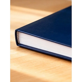 Ежедневник недатированный Выбор есть (Attache Economy) бумвинил А6 128 листов синий