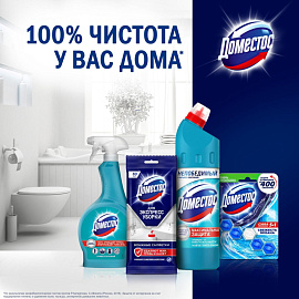 Средство для сантехники чистящее Domestos Свежесть моря 0.75 л для уборки туалета и ванной/для чистки ванн и душевых