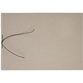 Журнал учета проверок юридических лиц и ИП (50 листов, спираль, обложка картон)