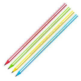 Карандаш чернографитный HB BIC Evolution Stripes заточенный шестигранный фото Карандаш чернографитный HB BIC Evolution Stripes заточенный шестигранный