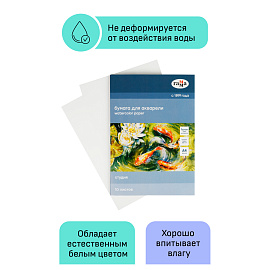 Папка для акварели, 10л., А4 Гамма "Студия", 200г/м2, среднее зерно