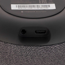 Умная колонка VK Капсула Мини тёмно-серая с подсветкой (MRC02BK)