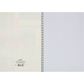 Тетрадь общая Attache A4 60 листов в клетку на спирали (обложка с рисунком, УФ-сплошной глянцевый лак)