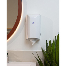 Диспенсер для полотенец рулонных Luscan Professional SG1 мини M1 белый/серый