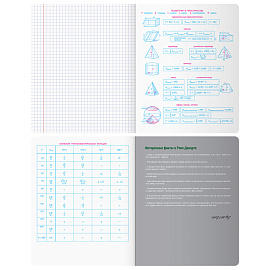 Тетрадь предметная 48л. BG "Угадай кто" - Геометрия, матовая ламинация, выб. лак