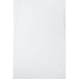 Пакет фасовочный ПНД 10 мкм био 24x37 см (1000 штук в пласте)