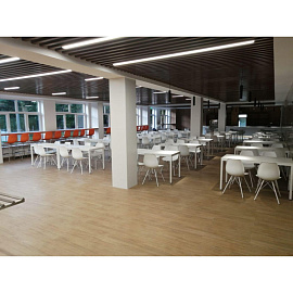 Стул обеденный Sheffilton SHT-ST29/S37 белый/каркас белый (пластик, металл)