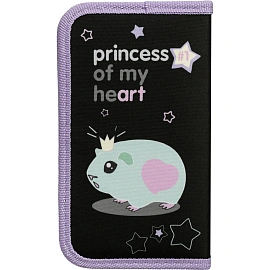 Пенал односекционный Комус Класс Princess черный