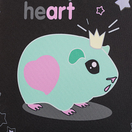 Ранец Комус Класс Basic Princess анатомический черный с двумя отделениями