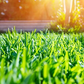 Семена газонной травы Газонcity Солнечный газон 10 кг