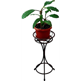 Подставка для цветов Танго 22x22х47 см коричневая