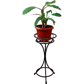 Подставка для цветов Танго 22x22х47 см коричневая