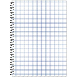 Бизнес-тетрадь Attache Акварель А4 96 листов голубая в клетку на спирали (202x270 мм)