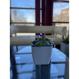 Горшок для цветов с автополивом InGreen Munchen 5 л с внутренней вставкой 2.2 л утренний туман (24.4x19 см)