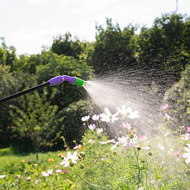 Опрыскиватель помповый Palisad 3 л (64743)