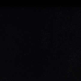 Планинг недатированный Bruno Visconti Persona искусственная кожа 305x130 мм 64 листа чёрный