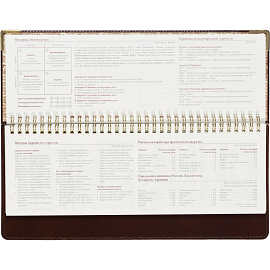 Планинг недатированный Bruno Visconti Persona искусственная кожа 305x130 мм 64 листа коричневый