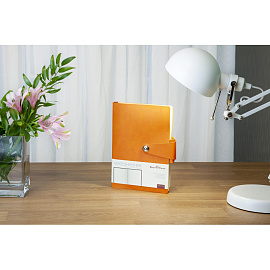 Ежедневник недатированный Bruno Visconti Primavera искусственная кожа А5 136 листов оранжевый, 3-536/03