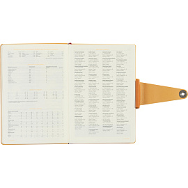 Ежедневник недатированный Bruno Visconti Primavera искусственная кожа А5 136 листов оранжевый, 3-536/03