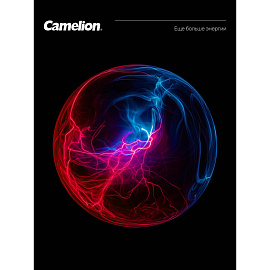 Батарейка АА пальчиковая Camelion Plus Alkaline блистер (4 штуки в упаковке) фото Батарейка АА пальчиковая Camelion Plus Alkaline блистер (4 штуки в упаковке)
