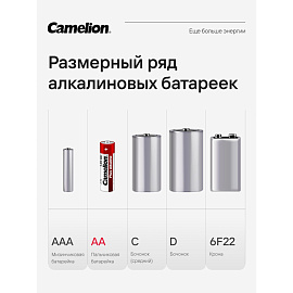 Батарейка АА пальчиковая Camelion Plus Alkaline (24 штуки в упаковке) фото Батарейка АА пальчиковая Camelion Plus Alkaline (24 штуки в упаковке)