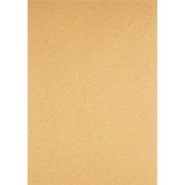 Крафт-бумага для рисунка, графики и каллиграфии Palazzo А4 20 листов