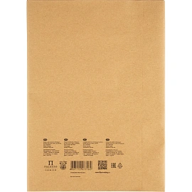Крафт-бумага для рисунка, графики и каллиграфии Palazzo А4 20 листов