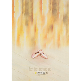 Папка для акварели Лилия Холдинг Балет А2 20 листов фото Папка для акварели Лилия Холдинг Балет А2 20 листов