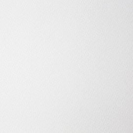 Папка для акварели Лилия Холдинг Флора А3 10 листов фото Папка для акварели Лилия Холдинг Флора А3 10 листов