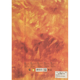 Папка для акварели Лилия Холдинг Флора А3 10 листов фото Папка для акварели Лилия Холдинг Флора А3 10 листов