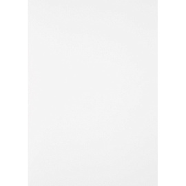 Папка для акварели Лилия Холдинг Флора А4 10 листов фото Папка для акварели Лилия Холдинг Флора А4 10 листов