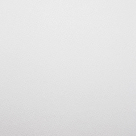 Папка для акварели Лилия Холдинг Флора А4 10 листов фото Папка для акварели Лилия Холдинг Флора А4 10 листов