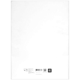 Папка для черчения А4 Лилия Холдинг 24 листа 200 г/кв.м фото Папка для черчения А4 Лилия Холдинг 24 листа 200 г/кв.м
