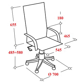 Кресло для руководителя Бюрократ CH-824 чёрное (экокожа, пластик) фото Кресло для руководителя Бюрократ CH-824 чёрное (экокожа, пластик)