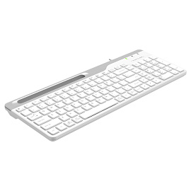 Клавиатура проводная A4Tech Fstyler FK25