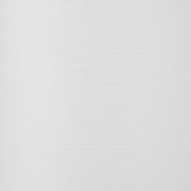 Материал протирочный нетканый в рулоне с центральной вытяжкой Luscan Professional W1 400 листов 32x38 см белый 1-слойный 60 г/кв.м