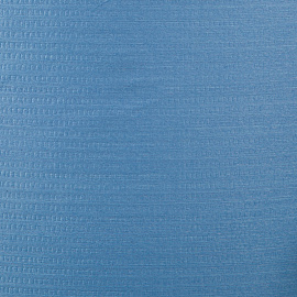 Материал протирочный нетканый в рулоне Luscan Professional W1 1100 листов 31.5x34 см голубой 1-слойный