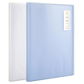 Папка файловая на 40 файлов Deli А4 24 мм (толщина обложки 0.7 мм)