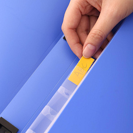 Папка-портфель пластиковая Deli А4+ (38.5x27.5x4 см, 13 отделений)