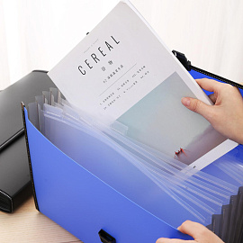 Папка-портфель пластиковая Deli А4+ (38.5x27.5x4 см, 13 отделений)