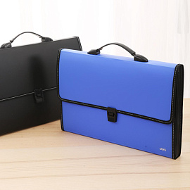 Папка-портфель пластиковая Deli А4+ (38.5x27.5x4 см, 13 отделений)