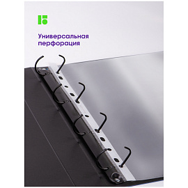 Папка-вкладыш с перфорацией Berlingo, А4, 30мкм, глянцевая фото Папка-вкладыш с перфорацией Berlingo, А4, 30мкм, глянцевая