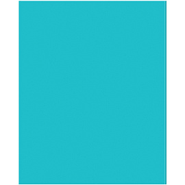 Тетрадь предметная 48л. BG "Перфокарта" - История, пластиковая обложка