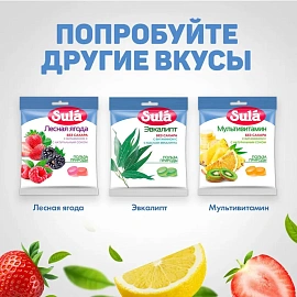 Леденцы Sula Гранат без сахара 60 г