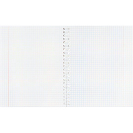 Тетрадь общая Attache Акварель A5 80 листов в клетку на спирали (обложка розовая)