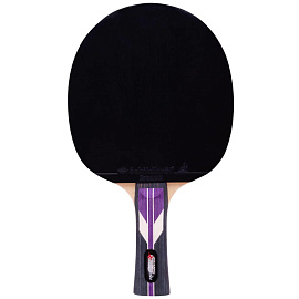 Ракетка для настольного тенниса Roxel 4x Stellar коническая фото Ракетка для настольного тенниса Roxel 4x Stellar коническая