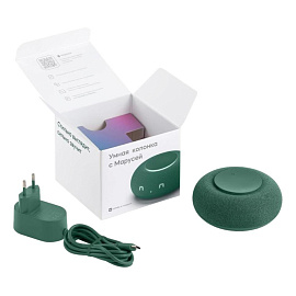 Умная колонка VK Капсула Мини зелёная с подсветкой (MRC02SG)